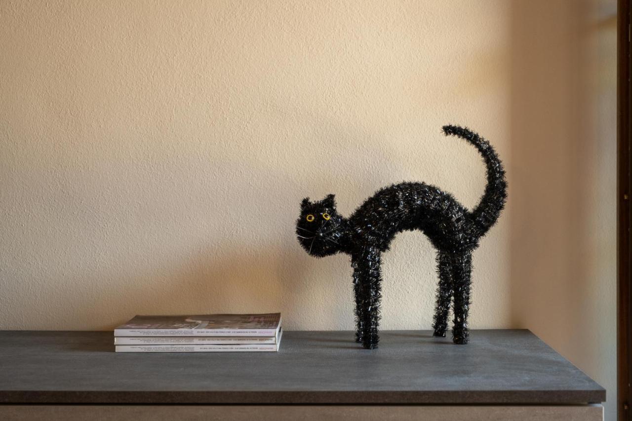 Casa Del Gatto Apartment Paratico Luaran gambar